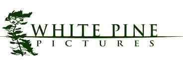 White Pine Pictures, logo,